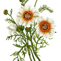 c27e77990513badbbe31dcc679f2aa2d.png