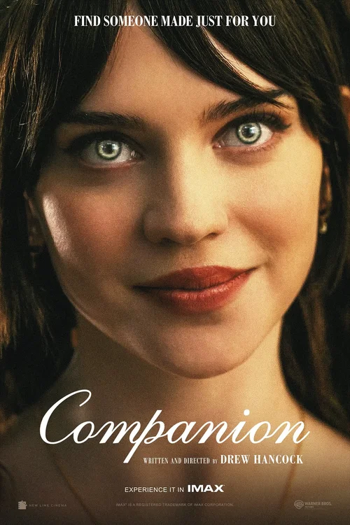 Towarzysz / Companion (2025) PL.WEB-DL.XviD-OzW / Lektor PL