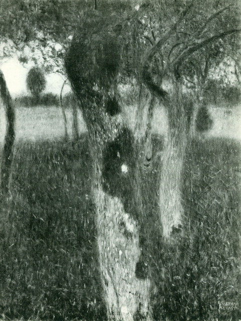 kli00173.jpg