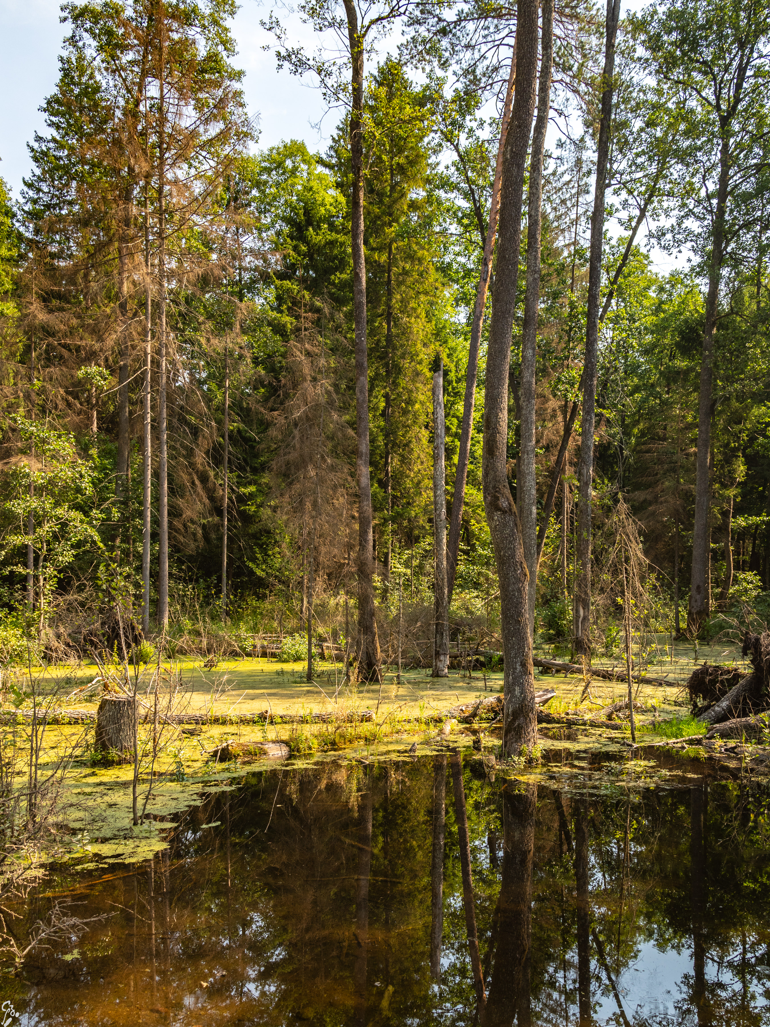 podlasie3 d4 07