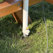 IMG 9196