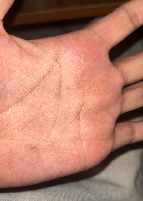 IMG 3065
