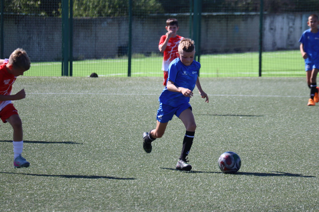 IMG-0015