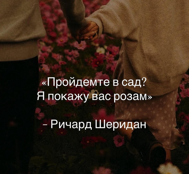 IMG-1953