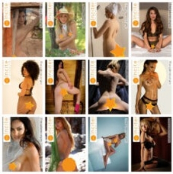 Inciter Magazine – 2025 Full Year Issues Collection