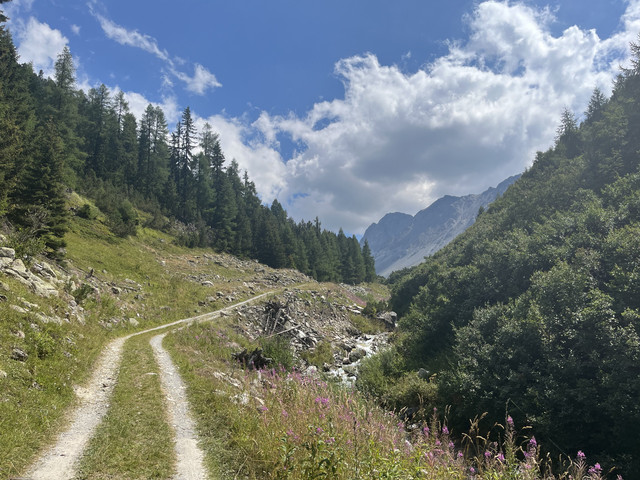 IMG-7435-2