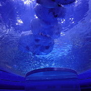 DSC09961