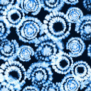 shutterstock 739258852
