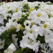 Парк Гагарина