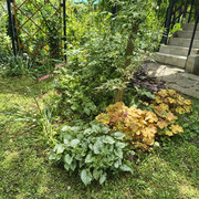 garden4