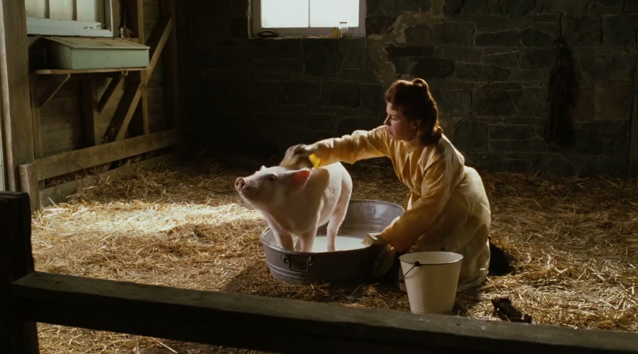 Charlotte's Web Screenshot