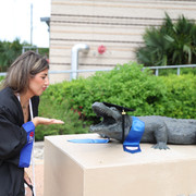 IMG 6702