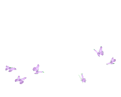 papillonviolet