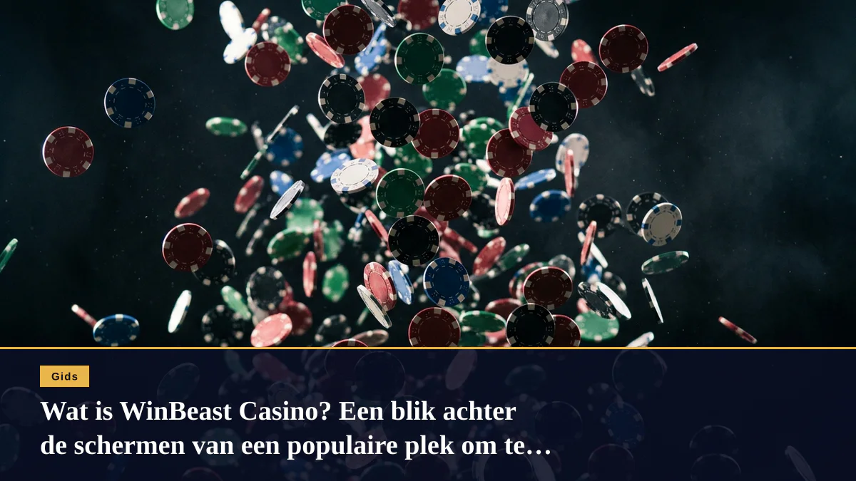 Wat is WinBeast Casino? Een blik achter de schermen van een populaire plek om te spelen