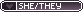 ERIS1.png