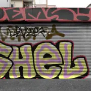 Graffiti artwork by Shel