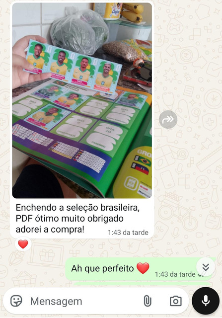 Feedback de cliente Copa 2026 PDF