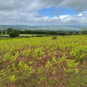 IMG 20260603 WA0003