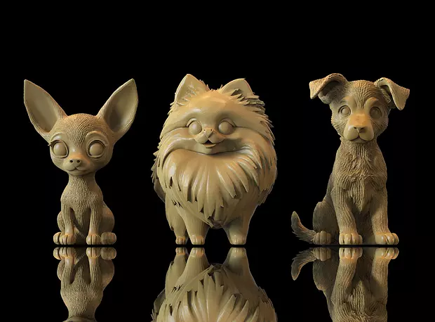 Pet
