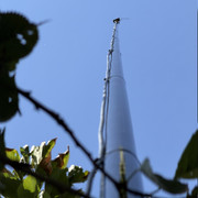 IMG 7380