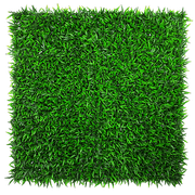 oie-transparent-4