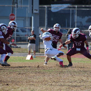 IMG-4009
