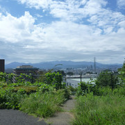 P1350291