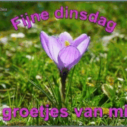 3.gif