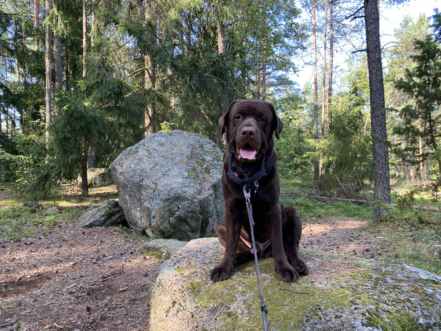 394466-E7-55-D4-4514-B88-A-D8-F0-F01-A72