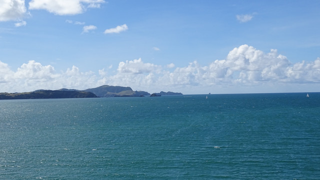 DSC05252