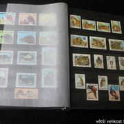 IMG-2257