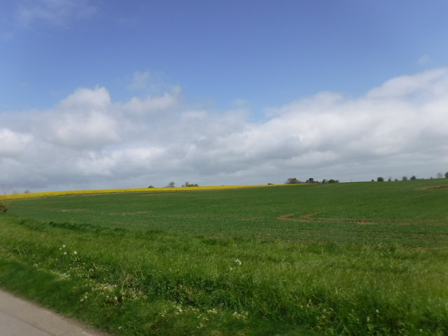 DSCF7796