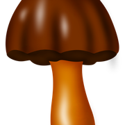 4-597471