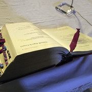 IMGP8350