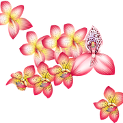 36e8fd8d29f3511abf26cd8c8c4cc1af