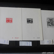 IMG-2353
