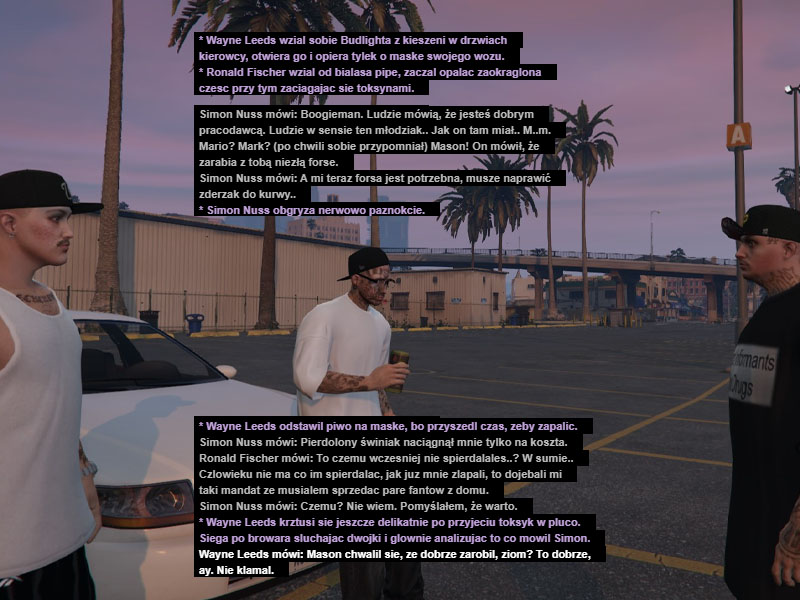 ss3.jpg