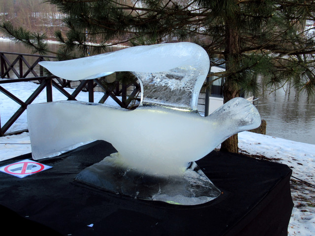 IMG-0384.jpg