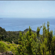 comp-IMG-7601