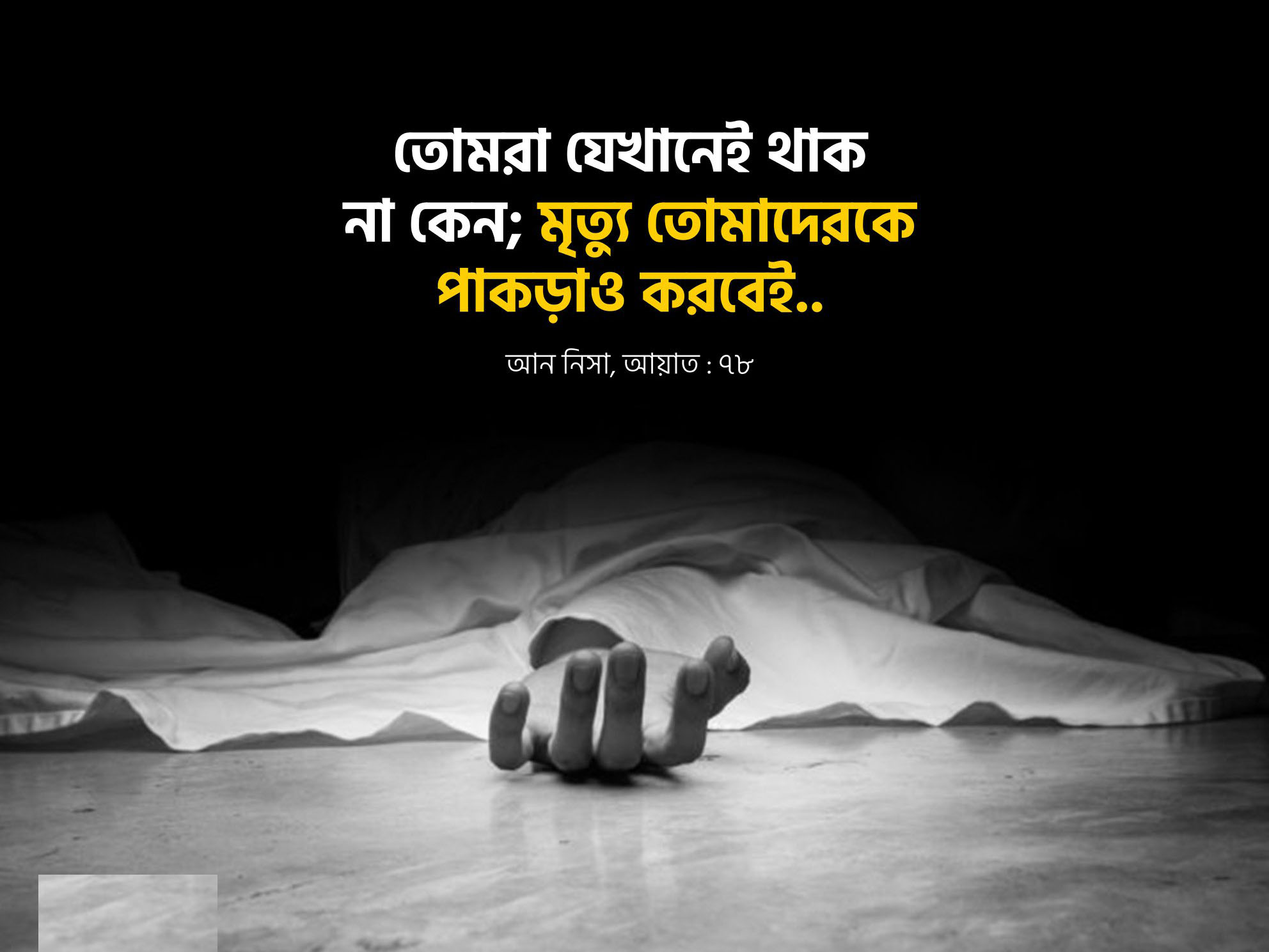 বাণী চিত্র