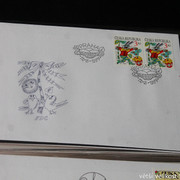 IMG-2557