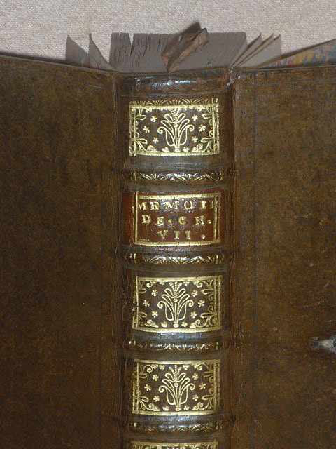 P1390175.jpg