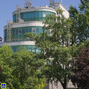 DSC3862
