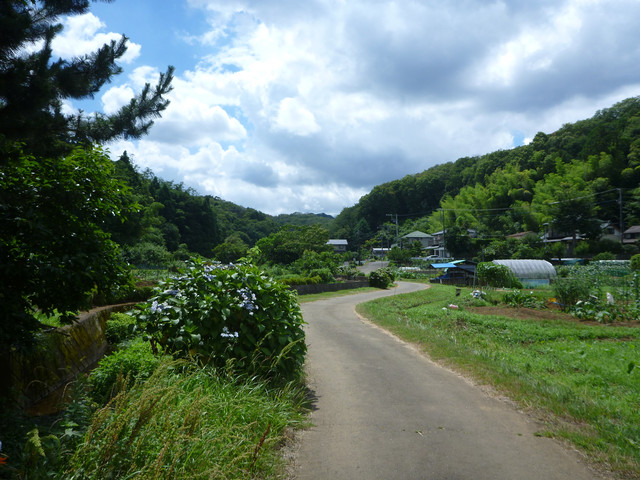 P1320530.jpg