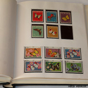 IMG-3963
