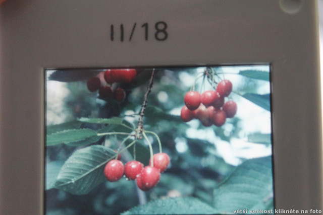 IMG-1169.jpg