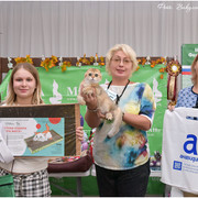 DSC-0941
