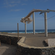 DSCF8164