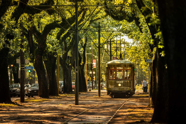 garden-district