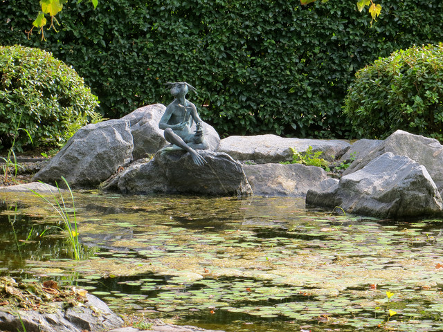 IMG-2559-1